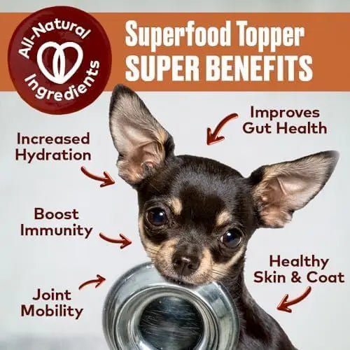 Furvor Chicken Bone Broth Healthy Dog Food Topper - Talis Us