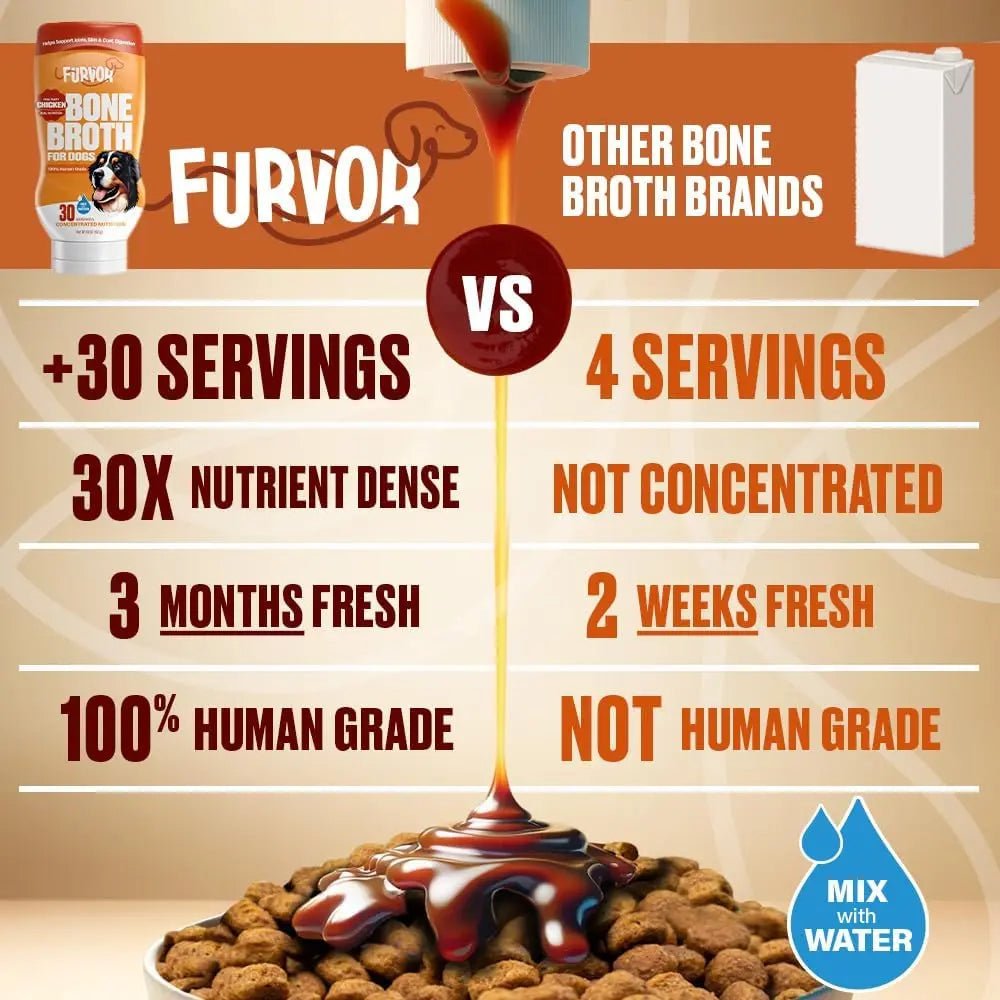 Furvor Chicken Bone Broth Healthy Dog Food Topper - Talis Us