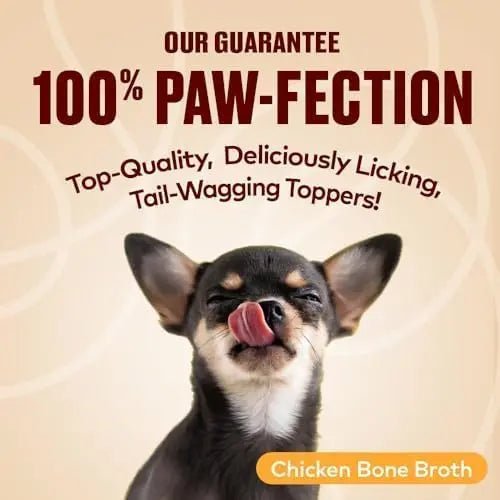 Furvor Chicken Bone Broth Healthy Dog Food Topper - Talis Us