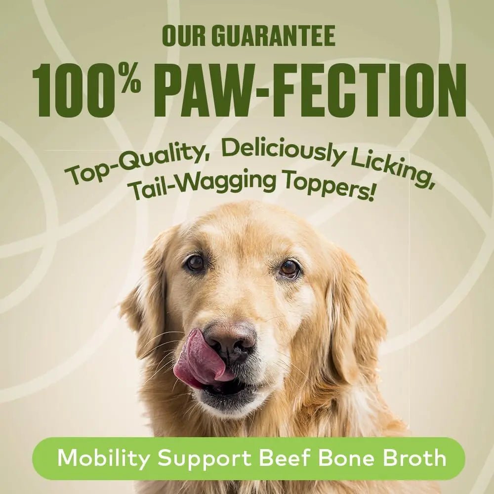 Furvor Mobility Support Beef Bone Broth Healthy Dog Food Topper - Talis Us