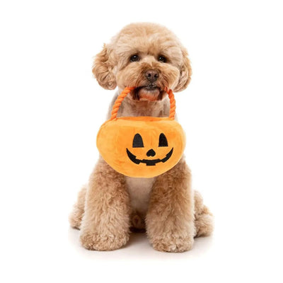 FuzzYard Trick or Treat Pumpkin Basket Plush Dog Toy - Talis Us