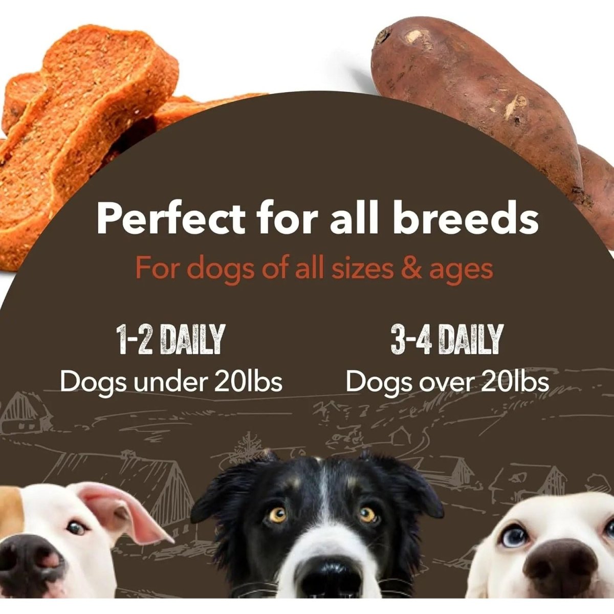 Gaines Family Farmstead Sweet Potato Bones Grain - Free Dog Treats - Talis Us