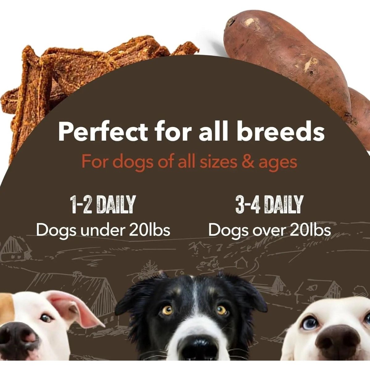 Gaines Family Sweet Potato & Salmon Fillets Dog Treats - Talis Us