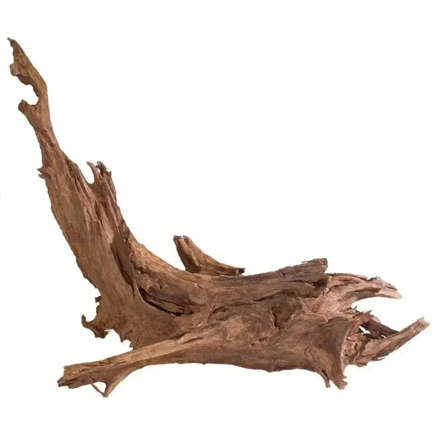 Galapagos Sinkable Driftwood Terrarium & Aquarium Decor - Talis Us
