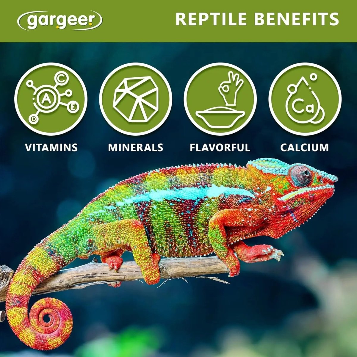Gargeer All Reptiles Color Enhancer Reptile Food Supplement 2oz - Talis Us