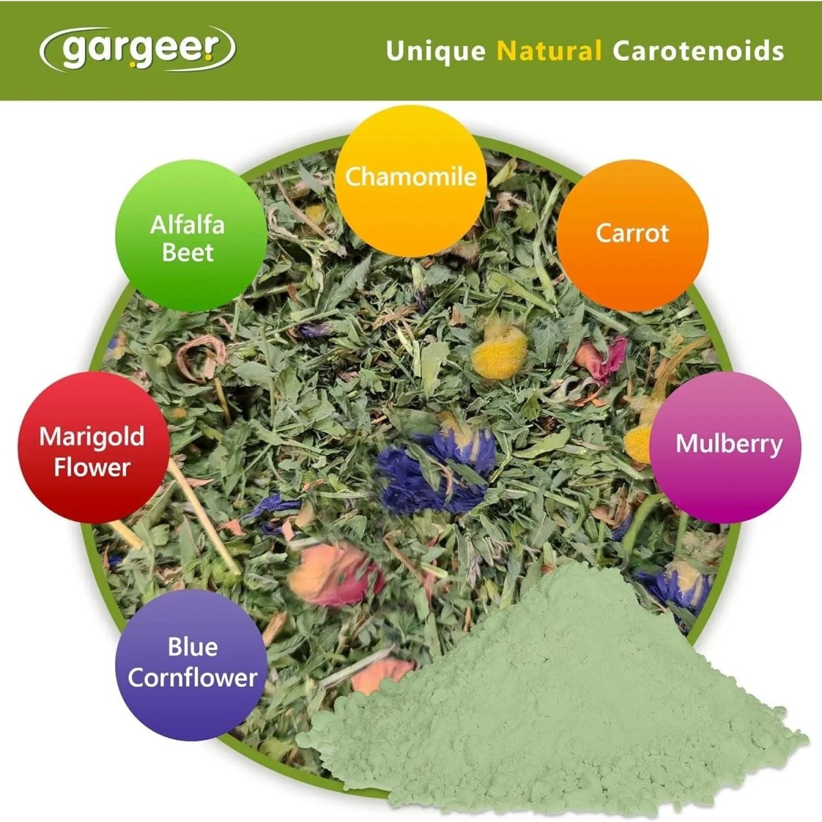 Gargeer All Reptiles Color Enhancer Reptile Food Supplement 2oz - Talis Us