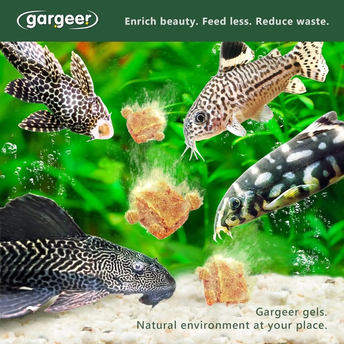 Gargeer Complete Bottom Dweller Fish Food for Advanced Breeders 3oz - Talis Us