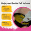 Gargeer Complete Breeder Crested Gecko Food - Talis Us
