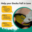 Gargeer Complete Fruit Blend Crested Gecko Food - Talis Us