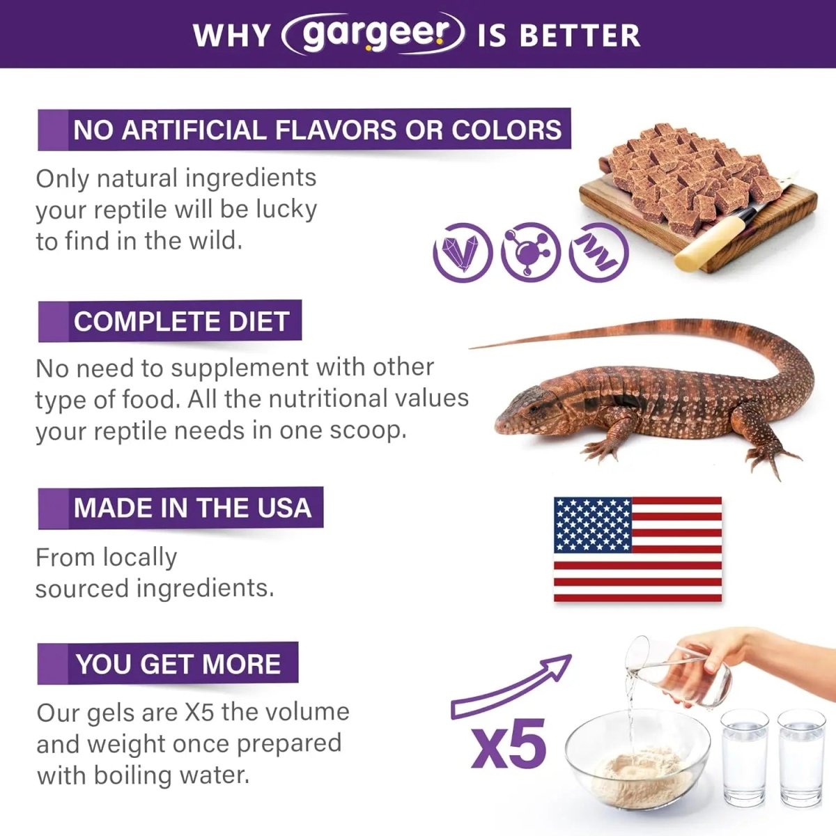 Gargeer Complete Gel Diet Tegu Lizard Food 3oz - Talis Us