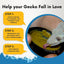 Gargeer Complete Mango Crested Gecko Food - Talis Us