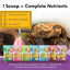 Gargeer Complete Tropical & Insects Protein Diet Crested Gecko Food - Talis Us