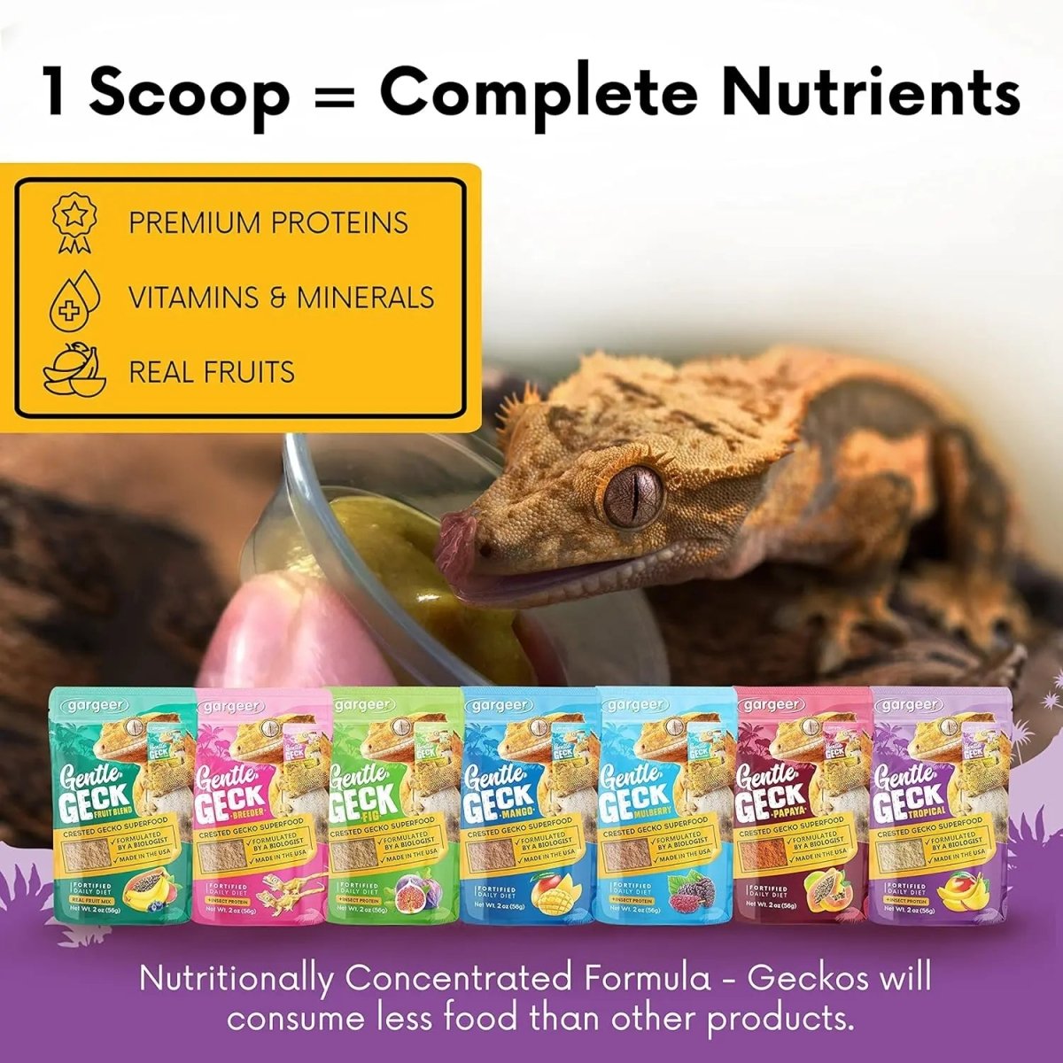Gargeer Complete Tropical & Insects Protein Diet Crested Gecko Food - Talis Us