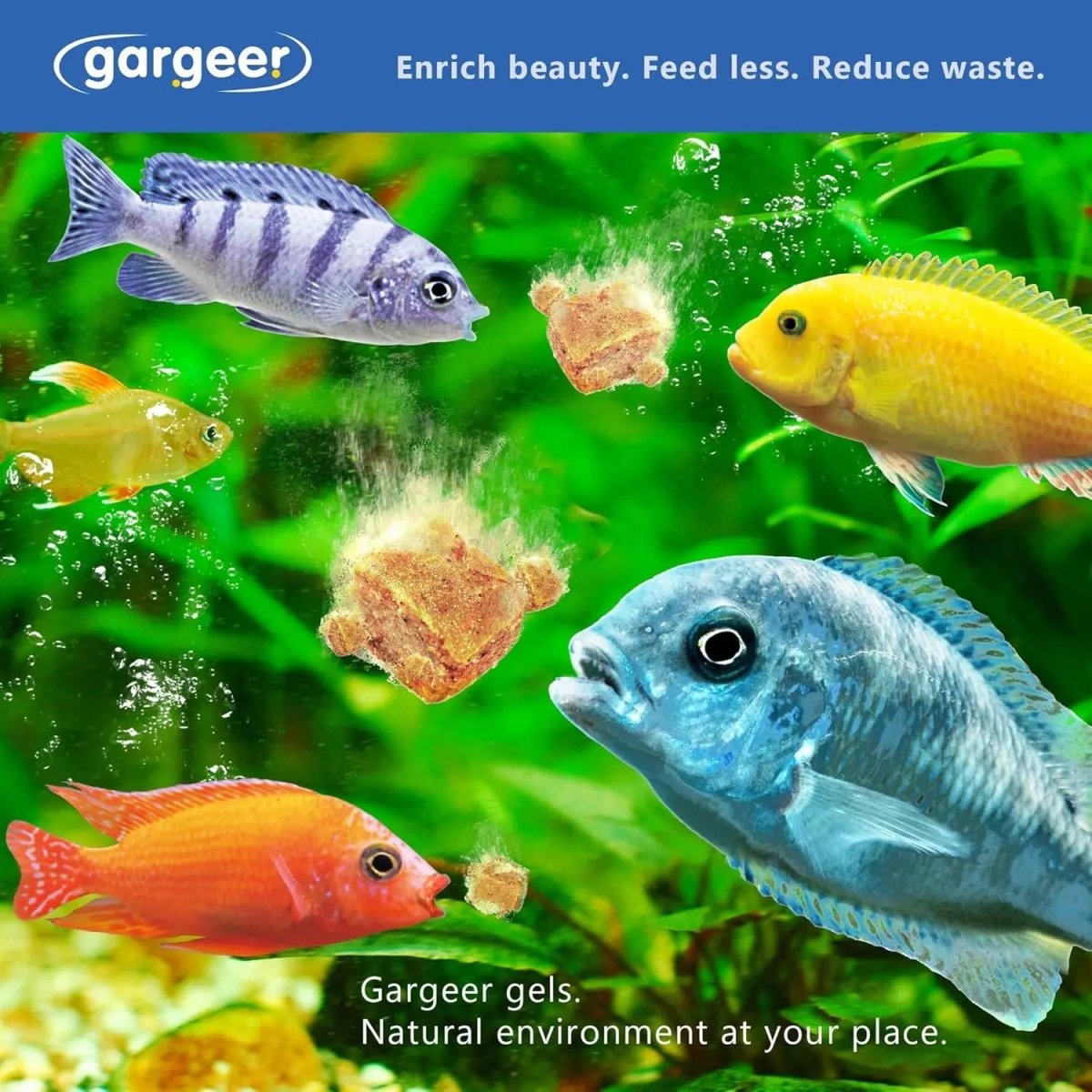 Gargeer Premium African Cichlid Food Balanced Diet for All Ages - Talis Us