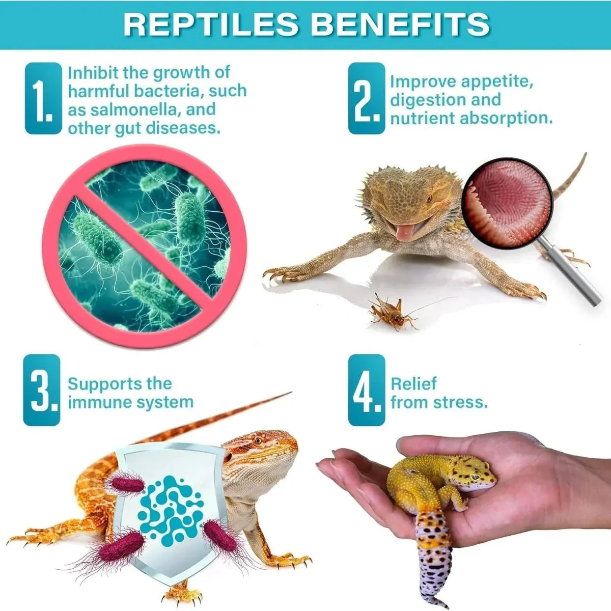 Gargeer Probiotic Reptile Supplement 2 Oz - Talis Us