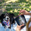 Get Joy Calming Supplements for Dogs to help them cope during fireworks season
