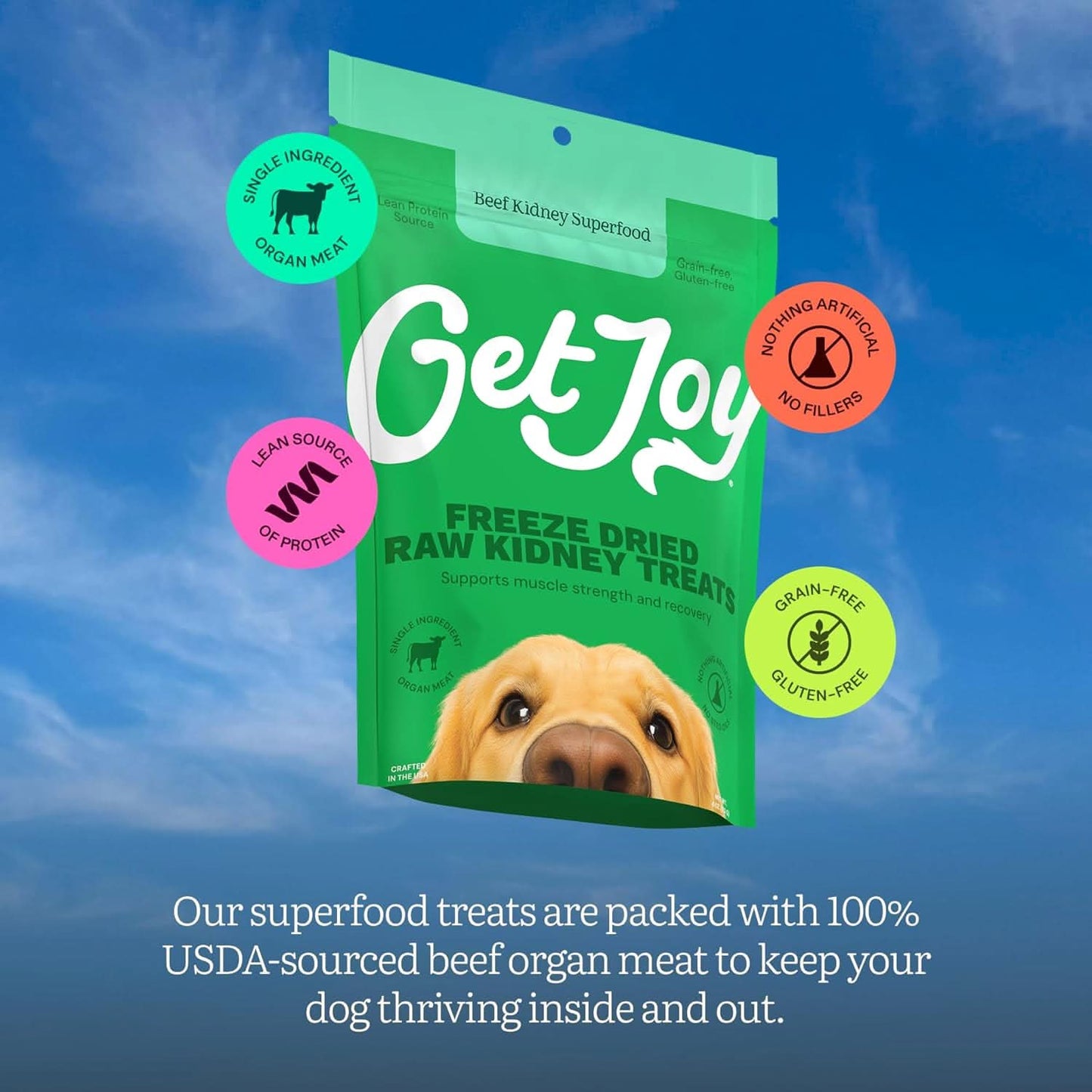 Get Joy beef kidney freeze dried dog treats in a green bag for healthy canine snacks