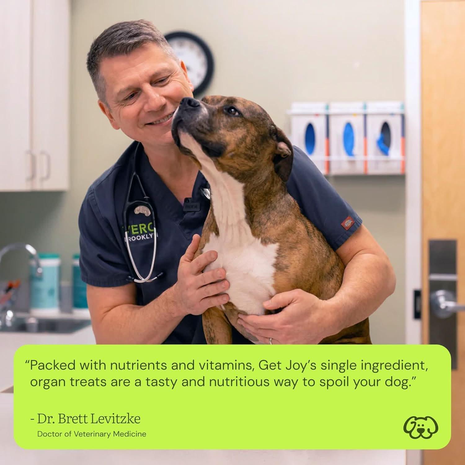 Get Joy freeze dried beef heart dog treats being recommended by a veterinarian for healthy dog snacks