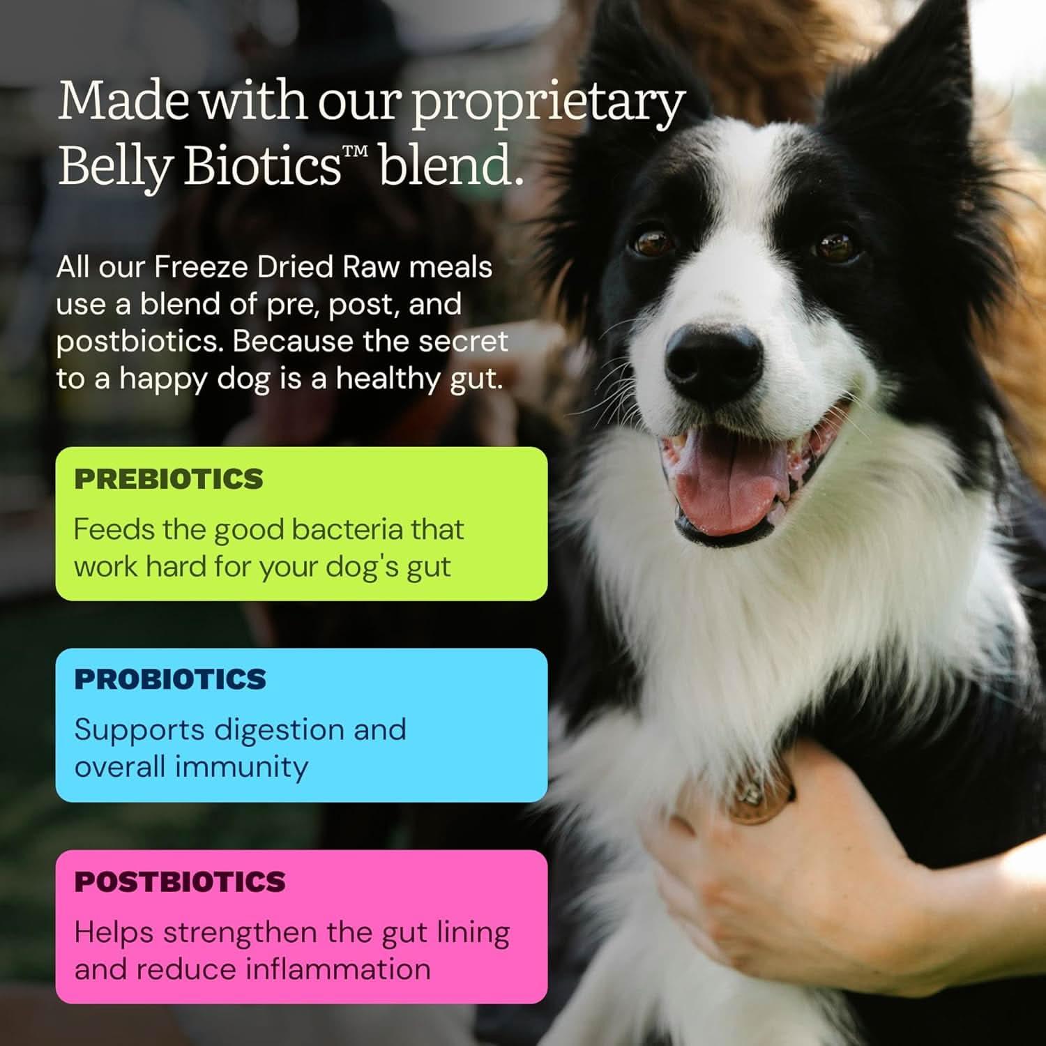 Get Joy Freeze Dried Raw Dog Food with Belly Biotics blend for gut health and digestion support