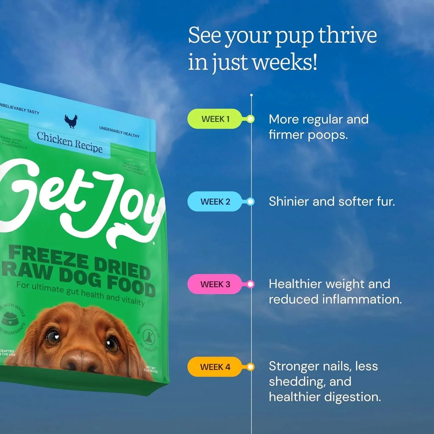 Get Joy Freeze Dried Raw Dog Food featuring a Chicken Recipe for optimal dog health and nutrition