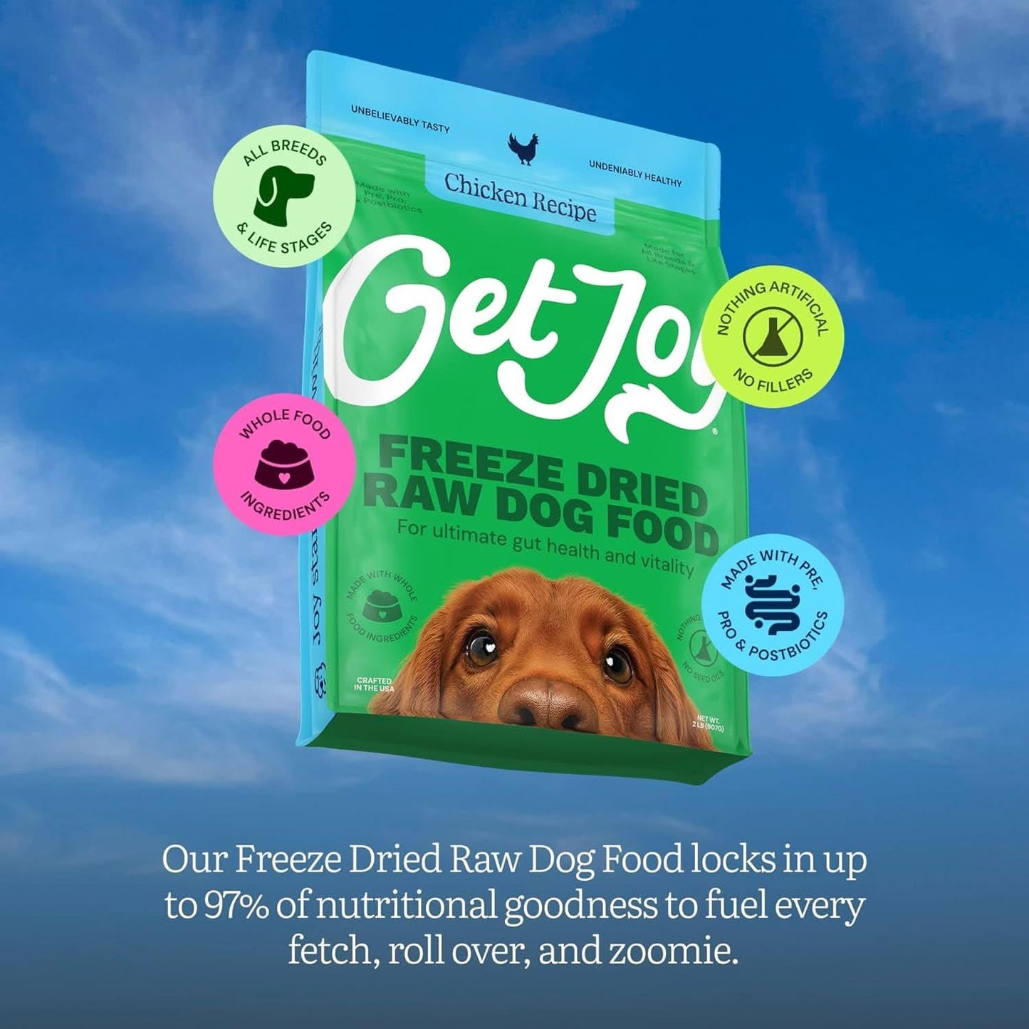 Get Joy Freeze Dried Raw Dog Food Chicken Recipe for health and vitality in all breeds and life stages