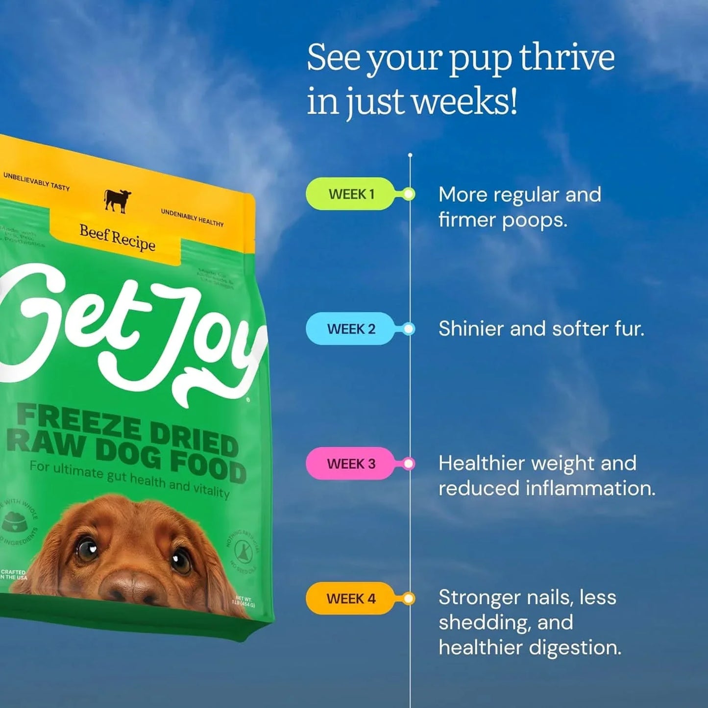 Get Joy Freeze Dried Raw Dog Food Beef Recipe with benefits for healthier dog digestion and fur