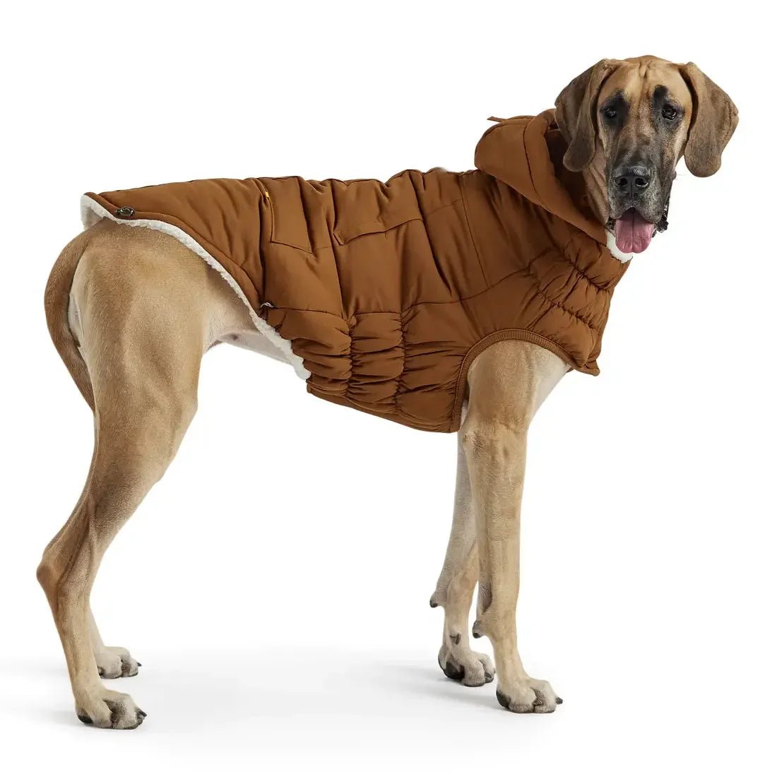 GF Pet Arctic Parka Dog Jacket - Talis Us