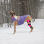 GF Pet Block Color Puffer Dog Coat - Talis Us