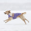 GF Pet Block Color Puffer Dog Coat - Talis Us