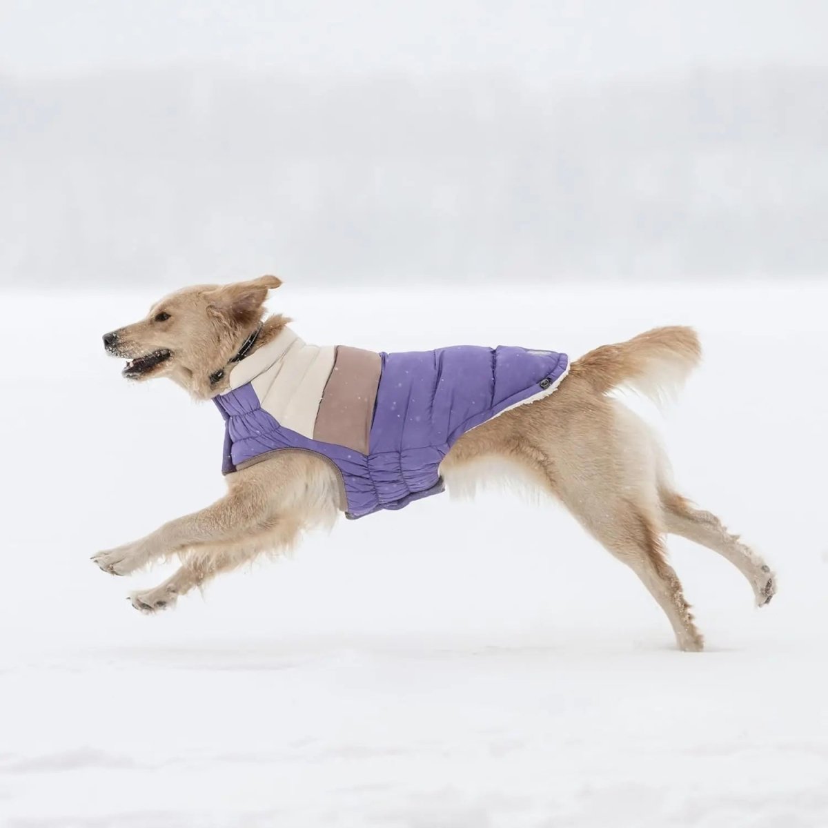 GF Pet Block Color Puffer Dog Coat - Talis Us