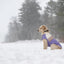 GF Pet Block Color Puffer Dog Coat - Talis Us