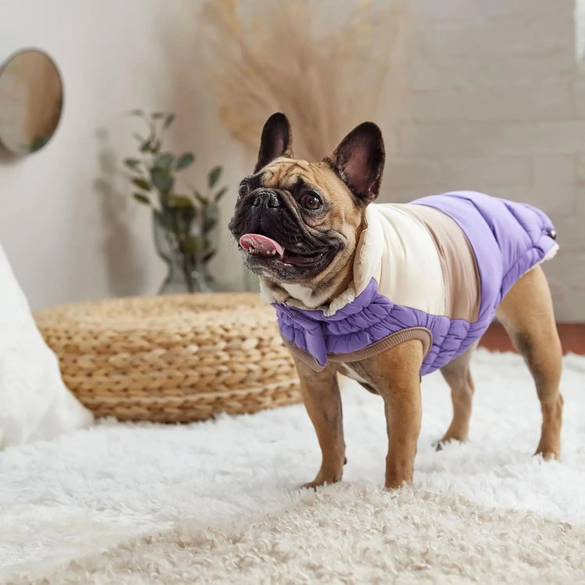 GF Pet Block Color Puffer Dog Coat - Talis Us