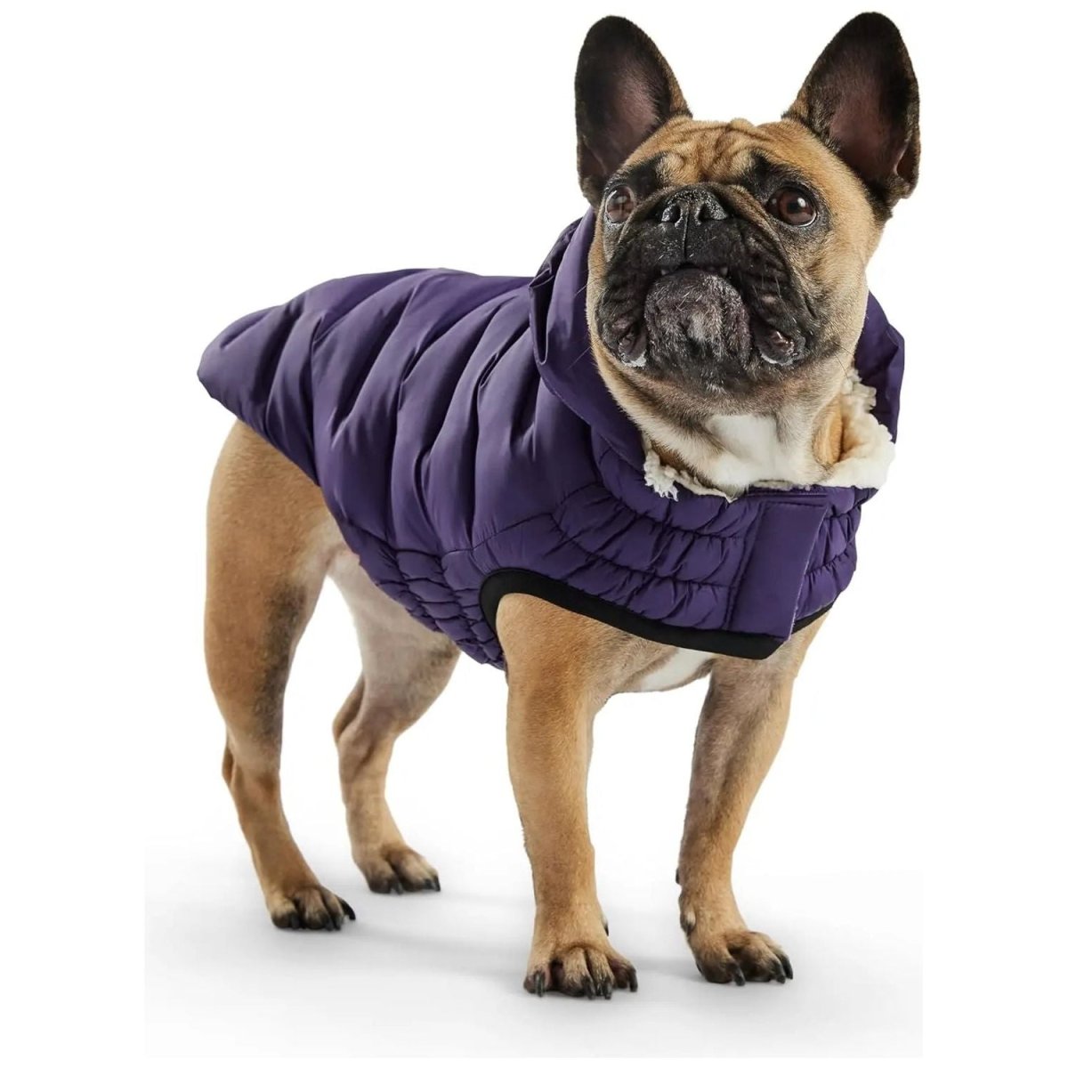 GF Pet Cloud Parka Dog Coat - Talis Us