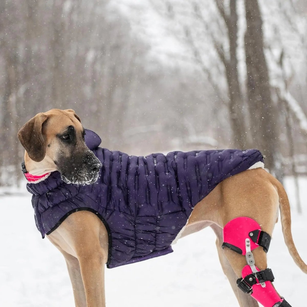 GF Pet Cloud Parka Dog Coat - Talis Us