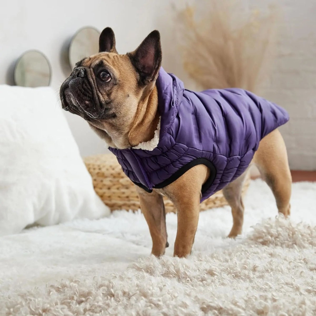 GF Pet Cloud Parka Dog Coat - Talis Us