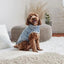 GF Pet Denim Jacket All Season Dog Jacket Light Wash - Talis Us