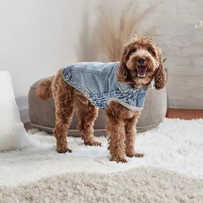 GF Pet Denim Jacket All Season Dog Jacket Light Wash - Talis Us