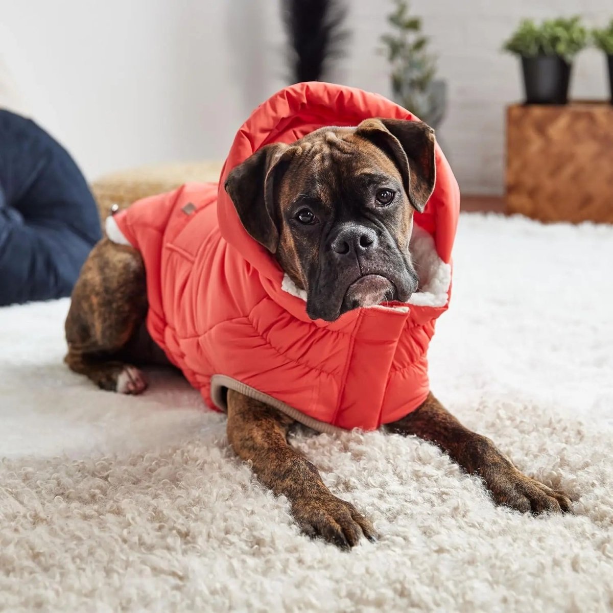 GF Pet Elasto - Fit Nordic InFiber Dog Parka - Talis Us