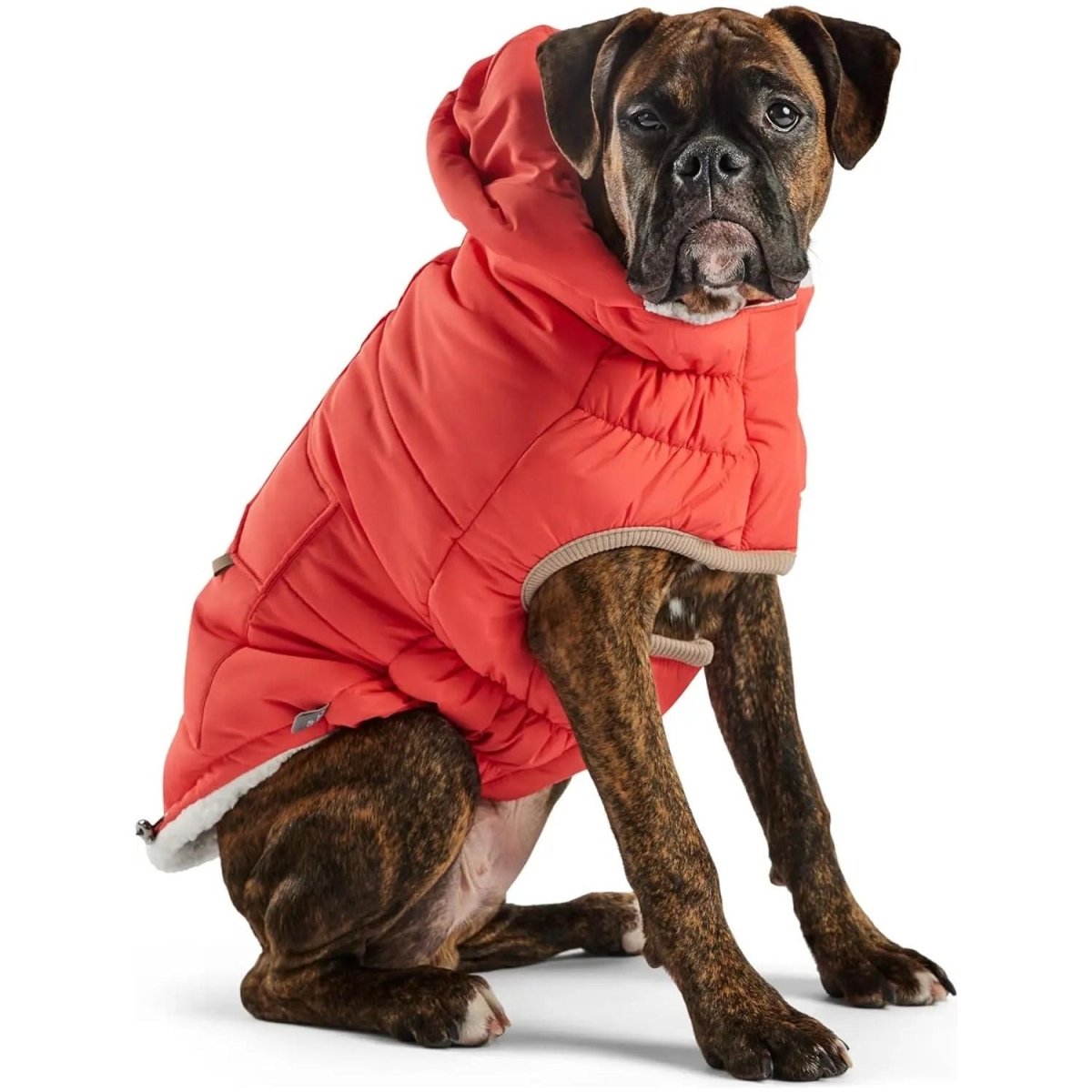 GF Pet Elasto - Fit Nordic InFiber Dog Parka - Talis Us