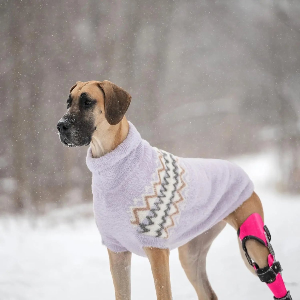 GF Pet Fuzzy Dog Sweater - Talis Us