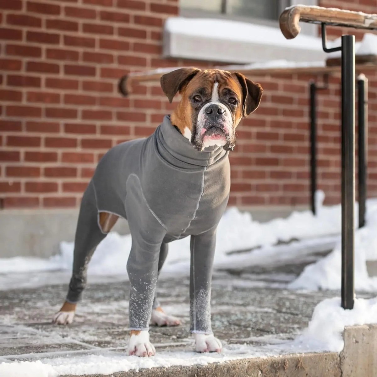 GF Pet Gondola Base Layer Dog Onesie - Talis Us