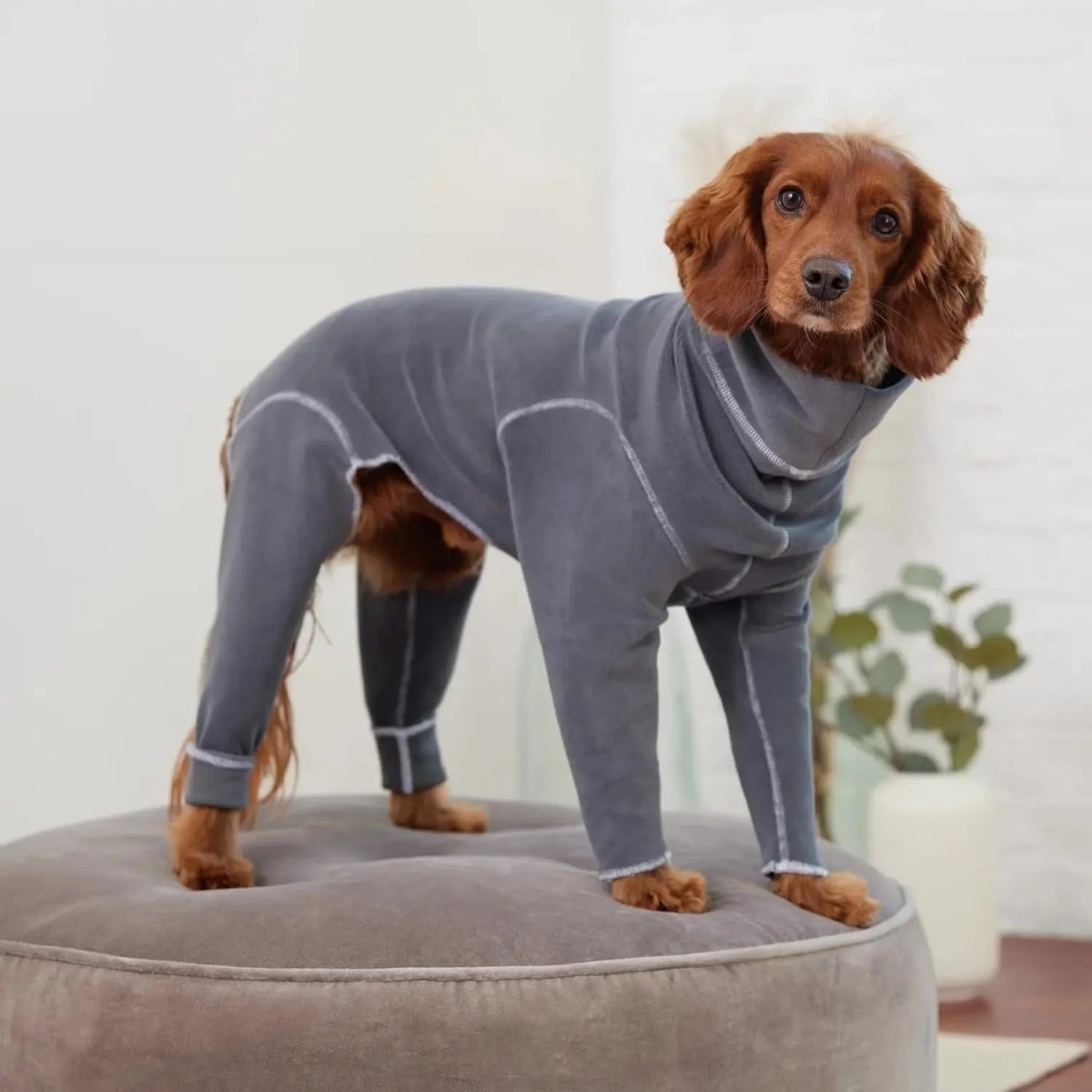 GF Pet Gondola Base Layer Dog Onesie - Talis Us