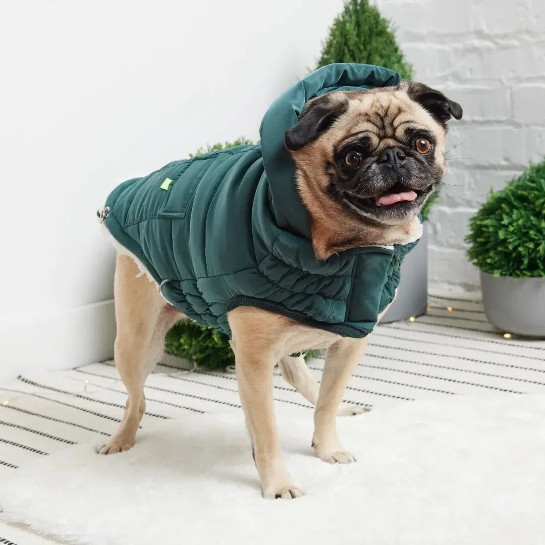 GF Pet Super Puff Dog Parka - Talis Us