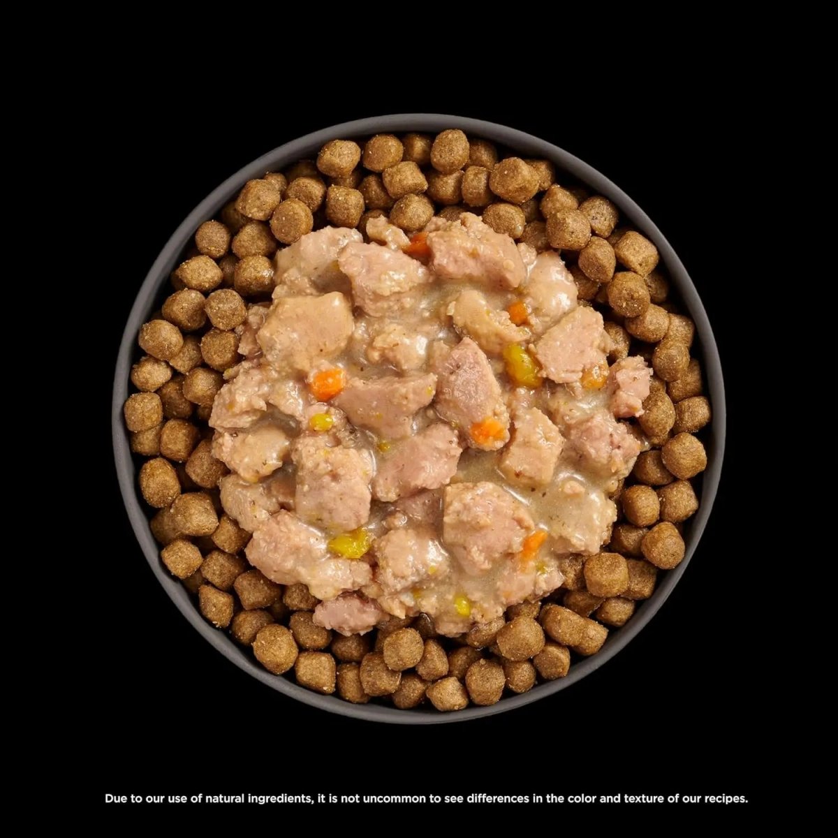 Go! Solutions Booster Brain Health Minced Chicken & Salmon with Gravy Wet Cat Food 24ea/2.5 oz - Talis Us