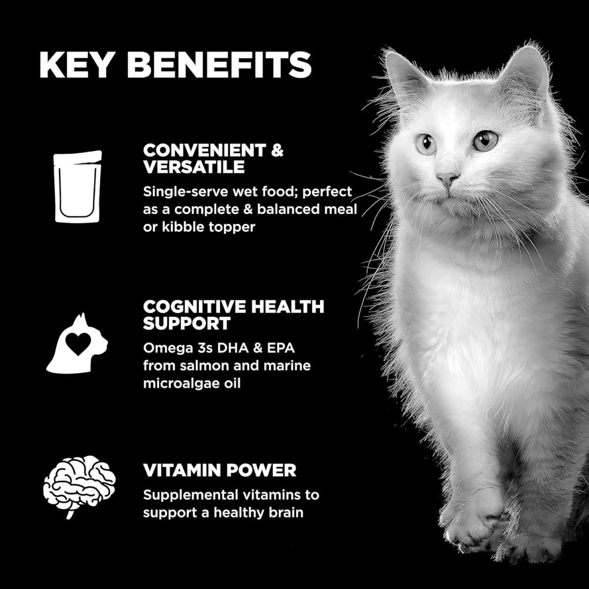 Go! Solutions Booster Brain Health Minced Chicken & Salmon with Gravy Wet Cat Food 24ea/2.5 oz - Talis Us