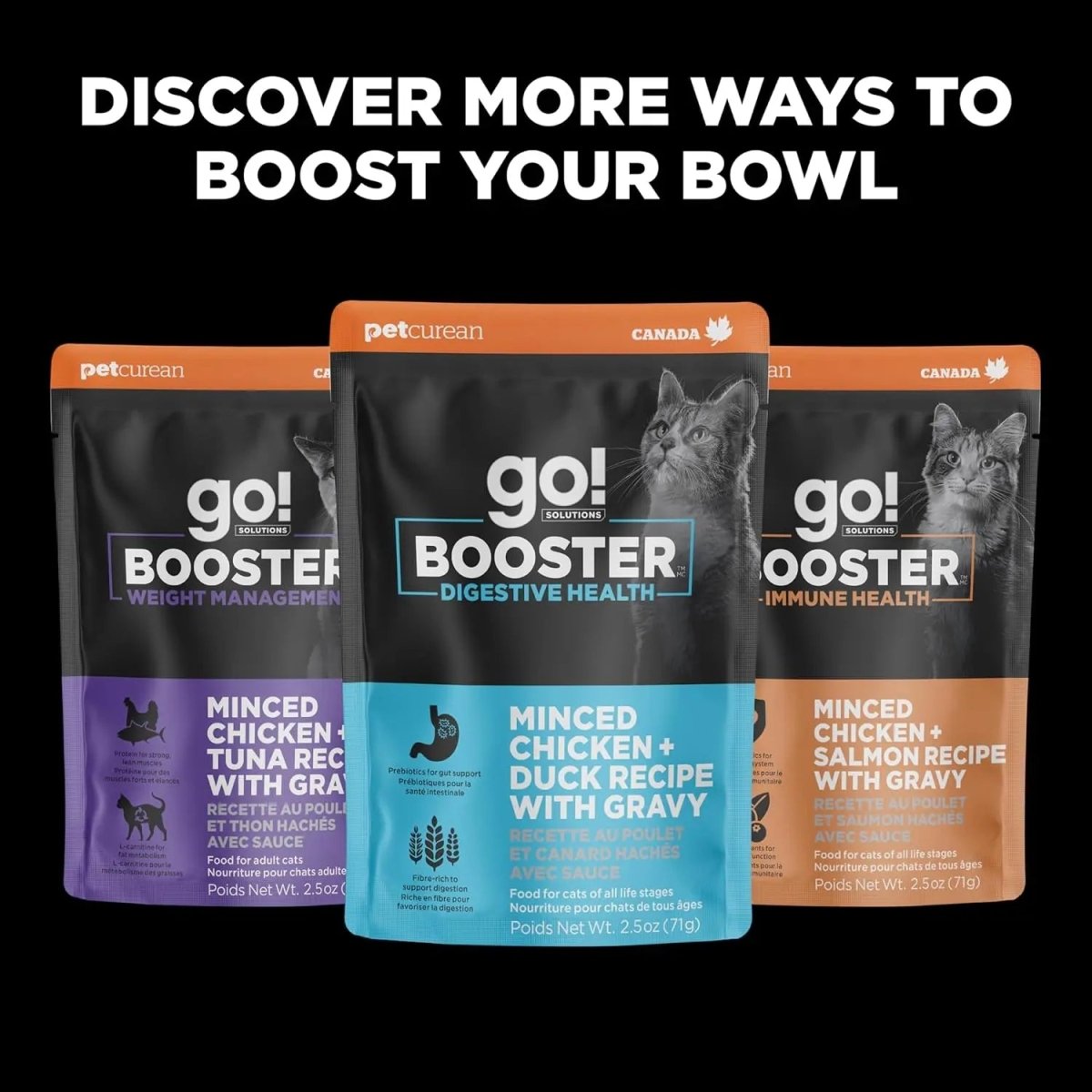Go! Solutions Booster Brain Health Minced Chicken & Salmon with Gravy Wet Cat Food 24ea/2.5 oz - Talis Us
