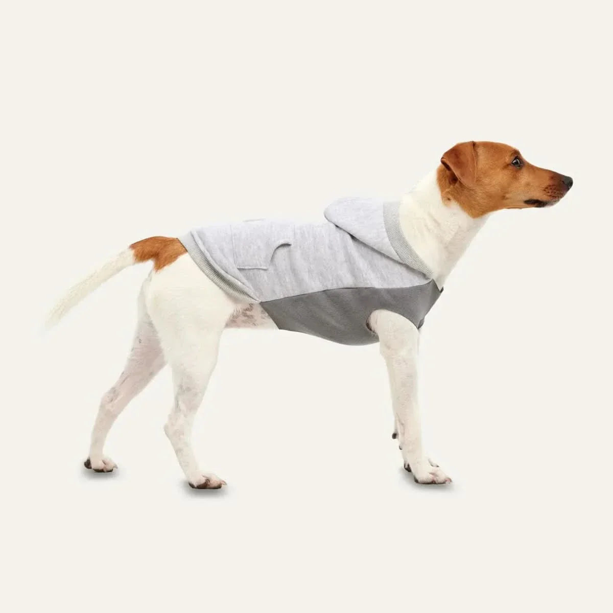 Goo - eez Kangaroo Fleece Dog Hoodie - Talis Us
