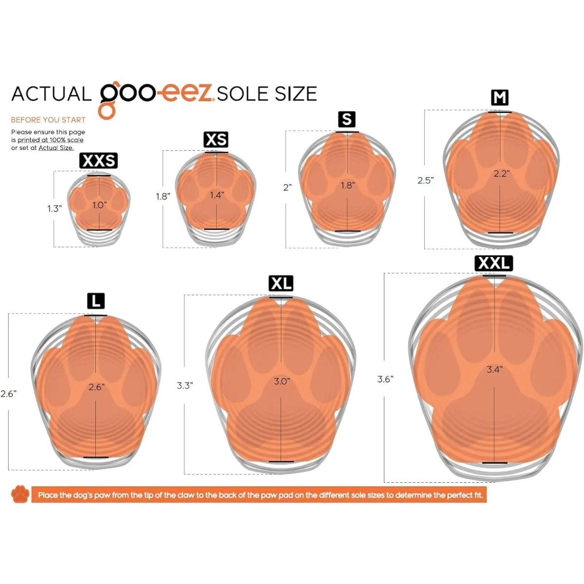 Goo - Eez Lites All Season Dog Boots Black 4pk - Talis Us