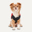 Goo - Eez Mock Neck Signature Dog Jacket - Talis Us