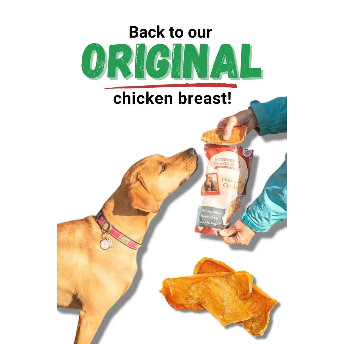 Goodness Gracious Hula Lula Chicken Jerky For Dogs 5oz - Talis Us